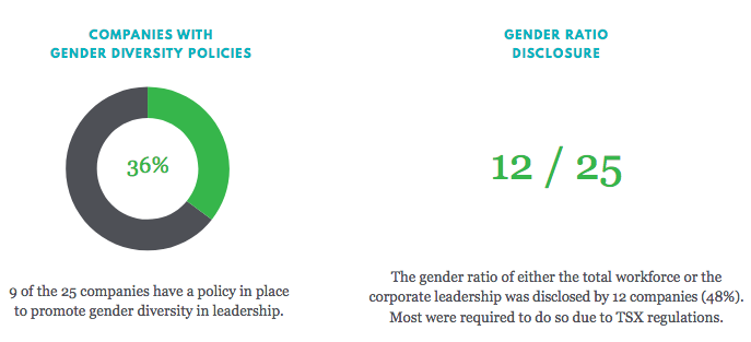Minerva report companies with gender diversity policies