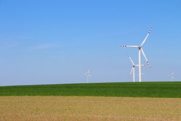 Wind turbines in an open field