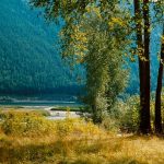 Kokanee Creek Provincial Park (British Columbia)
