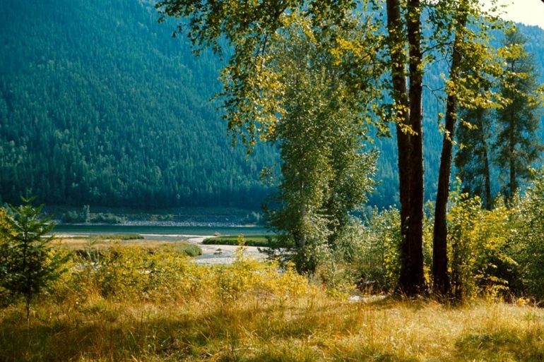 Kokanee Creek Provincial Park British Columbia