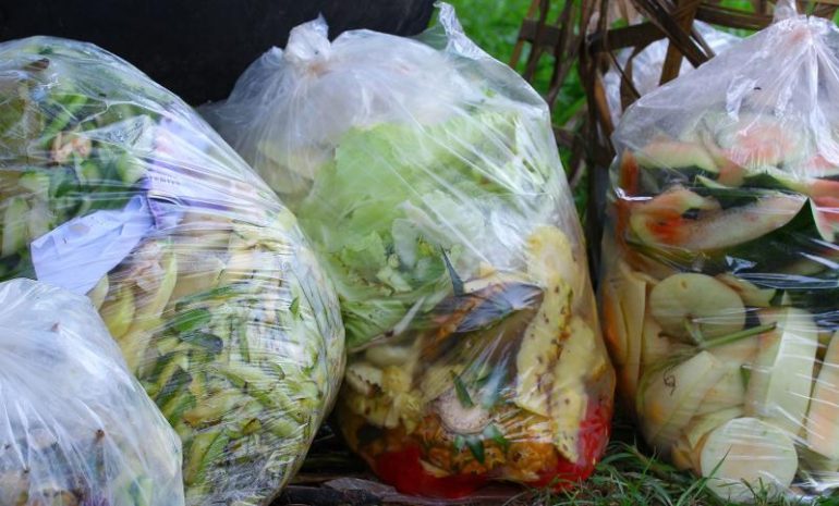 See through garbage bags full of food waste