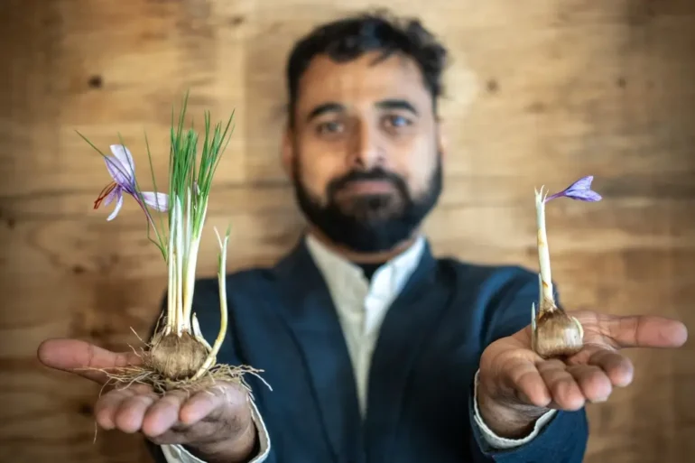 Vikash Sangwan holds his arms oustretched, displaying saffron plants in upturned palms.